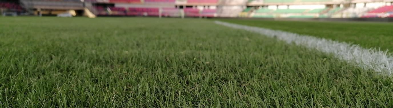 PAGELLE DI FINE ANNO…TANTO SIMU TUTTI MISTER