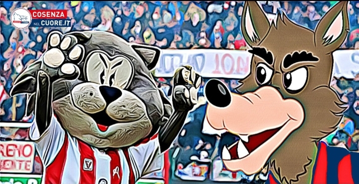 LETTERE DAL FRONTE BERICO